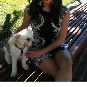 Maggie London Size 8 Career or Cocktail Dress